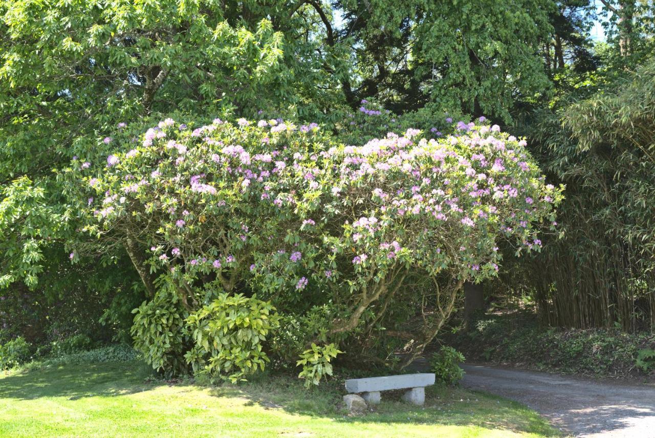 Manoir De Kerguestenen Gestel ภายนอก รูปภาพ